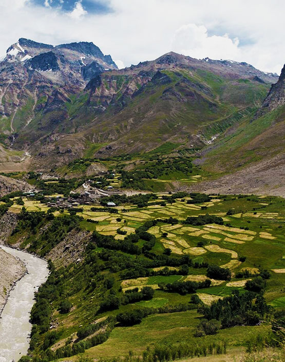 Suru Valley